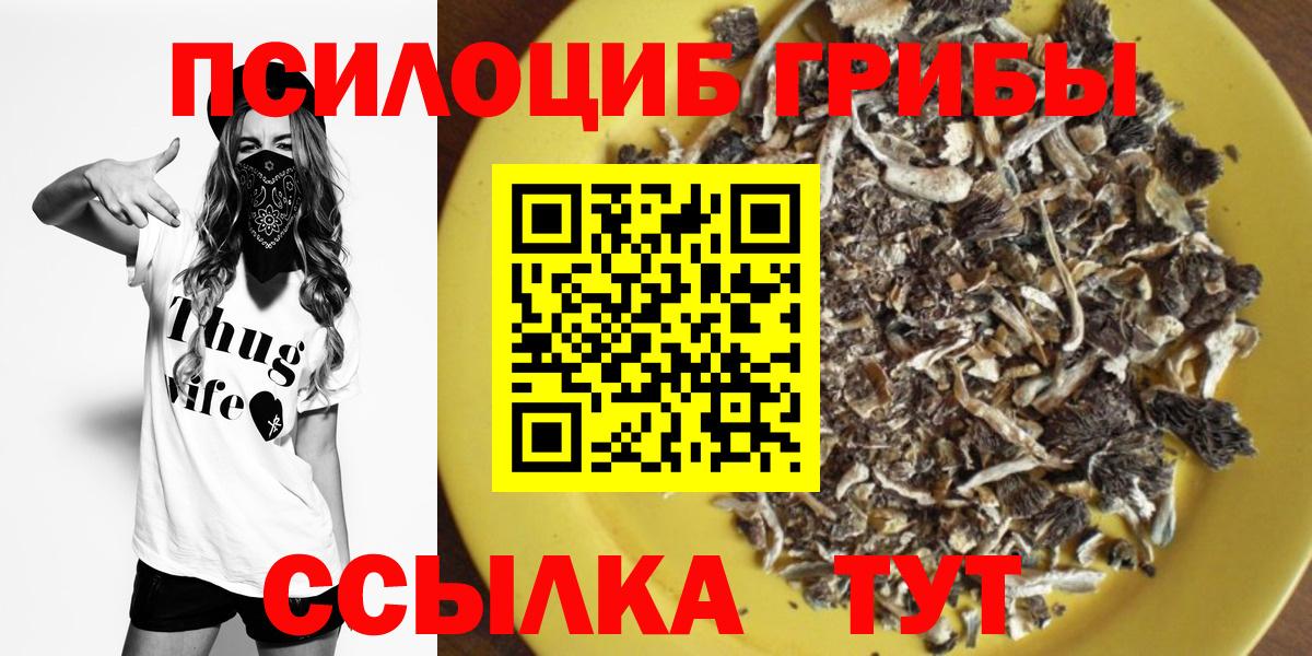 Узловая  Галлюциногенные грибы MAGIC MUSHROOMS  Вход с VPN 